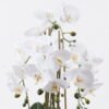 Artificial Flower 35*35*65cm Phalaenopsis *6 in PP pot GS-76325008 2026Feb YeahFlower is one of Chinese leading OEM manufacturers and exporters , supplying the silk flowers, wholesale artificial trees