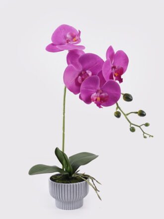 Artificial Table Plants 40*40*57cm Grass *9 in PP pot GS-02225039 2026Mar 3,000+ sqm showroom with thousands of artificial flowers, plants & trees ready for global sourcing.