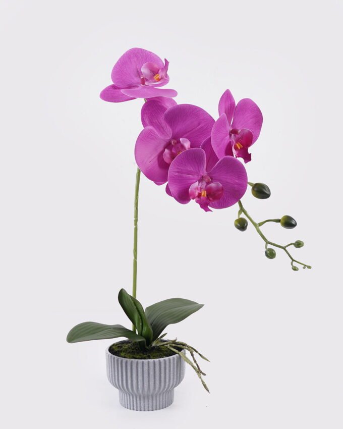 Artificial Flower Phalaenopsis 6 in PP pot GS-76325010_1 Artificial Flower 21*21*49cm Phalaenopsis *6 in PP pot GS-76325010 2026Feb YeahFlower is one of Chinese leading OEM manufacturers and exporters , supplying the silk flowers, wholesale artificial trees