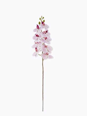 Artificial Flower 25*25*80cm Clematis florida *3 single stem GS-64925011-W2 2026Jan 3,000+ sqm showroom with thousands of artificial flowers, plants & trees ready for global sourcing.