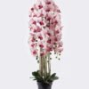 Artificial Flower 33*33*110cm Phalaenopsis *9 in PP pot GS-76325002 2026Feb YeahFlower is one of Chinese leading OEM manufacturers and exporters , supplying the silk flowers, wholesale artificial trees