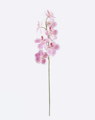 Artificial Flower 22*22*95cm Phalaenopsis *9 single stem GS-71625013-P1 2026Jan YeahFlower is one of Chinese leading OEM manufacturers and exporters , supplying the silk flowers, wholesale artificial trees Artificial Flower 22*22*95cm Phalaenopsis *9 single stem GS-71625013-P1 2026Jan YeahFlower is one of Chinese leading OEM manufacturers and exporters , supplying the silk flowers, wholesale artificial trees