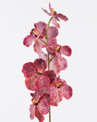 Artificial Flower 22*22*95cm Phalaenopsis *9 single stem GS-71625013-R1 2026Jan YeahFlower is one of Chinese leading OEM manufacturers and exporters , supplying the silk flowers, wholesale artificial trees Artificial Flower 22*22*95cm Phalaenopsis *9 single stem GS-71625013-R1 2026Jan YeahFlower is one of Chinese leading OEM manufacturers and exporters , supplying the silk flowers, wholesale artificial trees