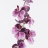 Artificial Flower Phalaenopsis 9 single stem GS-71625013_2 Artificial Flower 22*22*95cm Phalaenopsis *9 single stem GS-71625013 2026Jan YeahFlower is one of Chinese leading OEM manufacturers and exporters , supplying the silk flowers, wholesale artificial trees