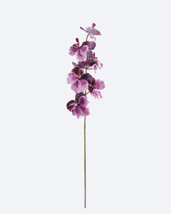 Artificial Flower Phalaenopsis 9 single stem GS-71625013_3 Artificial Flower 22*22*95cm Phalaenopsis *9 single stem GS-71625013 2026Jan YeahFlower is one of Chinese leading OEM manufacturers and exporters , supplying the silk flowers, wholesale artificial trees
