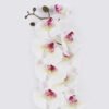 Artificial Flower Phalaenopsis 9 single stem moist real touch GS-81725001-W1_6 Artificial Flower 16*16*102cm Phalaenopsis *9 single stem /moist real touch GS-81725001-W1 2026Feb YeahFlower is one of Chinese leading OEM manufacturers and exporters , supplying the silk flowers, wholesale artificial trees