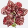 Artificial Flower 26*26*70cm Poinsettia  single stem GS-58825026-R2 2025Dec YeahFlower is one of Chinese leading OEM manufacturers and exporters , supplying the silk flowers, wholesale artificial trees