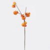 Artificial Flower Pumpkin Single Stem GS-63625023_7 Artificial Flower 18*18*76cm Pumpkin Single Stem GS-63625023 2025Dec YeahFlower is one of Chinese leading OEM manufacturers and exporters , supplying the silk flowers, wholesale artificial trees