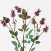 Artificial Flower 18*18*70cm Rose Fruit *9 Single Stem GS-63625034-Z1 2025Dec YeahFlower is one of Chinese leading OEM manufacturers and exporters , supplying the silk flowers, wholesale artificial trees