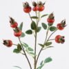 Artificial Flower 18*18*70cm Rose Fruit *9 Single Stem GS-63625034 2025Dec YeahFlower is one of Chinese leading OEM manufacturers and exporters , supplying the silk flowers, wholesale artificial trees
