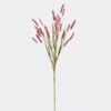 Artificial Flower 16*16*75cm Setaria Viridis single stem/ nature plants GS-50225007-R1 2025Nov YeahFlower is one of Chinese leading OEM manufacturers and exporters , supplying the silk flowers, wholesale artificial trees