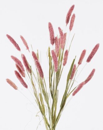 Artificial Flower 16*16*75cm Setaria Viridis single stem/ nature plants GS-50225007-R1 2025Nov YeahFlower is one of Chinese leading OEM manufacturers and exporters , supplying the silk flowers, wholesale artificial trees