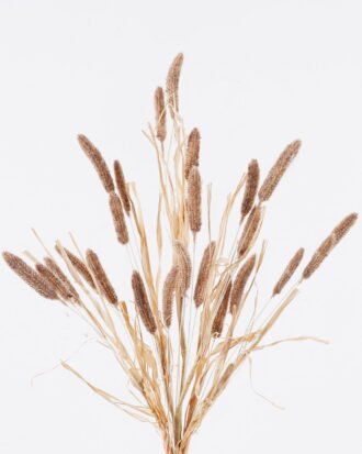 Artificial Flower 16*16*75cm Setaria Viridis single stem/ nature plants GS-50225007AUT 2025Nov YeahFlower is one of Chinese leading OEM manufacturers and exporters , supplying the silk flowers, wholesale artificial trees