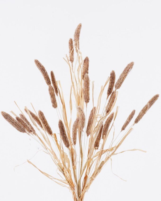 Artificial Flower 16*16*75cm Setaria Viridis single stem/ nature plants GS-50225007AUT 2025Nov YeahFlower is one of Chinese leading OEM manufacturers and exporters , supplying the silk flowers, wholesale artificial trees