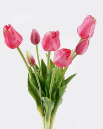 Artificial Flower 17*17*46cm Tulip bush*7 GS-10819005-46-R2 2025SEP YeahFlower is one of Chinese leading OEM manufacturers and exporters , supplying the silk flowers, wholesale artificial trees Artificial Flower 17*17*46cm Tulip bush*7 GS-10819005-46-R2 2025SEP YeahFlower is one of Chinese leading OEM manufacturers and exporters , supplying the silk flowers, wholesale artificial trees