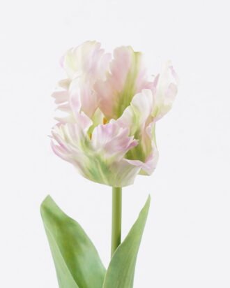 Artificial Flower 9*9*61cm Tulip single stem GS-68625003-P1 2026Jan YeahFlower is one of Chinese leading OEM manufacturers and exporters , supplying the silk flowers, wholesale artificial trees Artificial Flower 9*9*61cm Tulip single stem GS-68625003-P1 2026Jan YeahFlower is one of Chinese leading OEM manufacturers and exporters , supplying the silk flowers, wholesale artificial trees