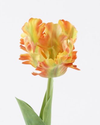 Artificial Flower 9*9*61cm Tulip single stem GS-68625003 2026Jan YeahFlower is one of Chinese leading OEM manufacturers and exporters , supplying the silk flowers, wholesale artificial trees
