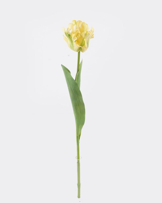 Artificial Flower 9*9*61cm Tulip single stem GS-68625003 2026Jan YeahFlower is one of Chinese leading OEM manufacturers and exporters , supplying the silk flowers, wholesale artificial trees