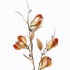 Artificial Flower 13*13*73cm  Yulan magnolia single stem GS-58825022-O1 2025Dec YeahFlower is one of Chinese leading OEM manufacturers and exporters , supplying the silk flowers, wholesale artificial trees