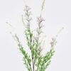 Artificial Flower salvia officinalis single stem GS-58225011-P1_4 Artificial Flower 17*17*81cm salvia officinalis single stem GS-58225011-P1 2025Dec YeahFlower is one of Chinese leading OEM manufacturers and exporters , supplying the silk flowers, wholesale artificial trees
