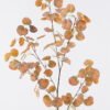 Artificial Plant 23*23*91cm  Begonia single stem GS-64625001 2025Dec YeahFlower is one of Chinese leading OEM manufacturers and exporters , supplying the silk flowers, wholesale artificial trees