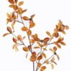 Artificial Plant 30*30*110cm  Eucalyptus single stem GS-27925020 2025SEP YeahFlower is one of Chinese leading OEM manufacturers and exporters , supplying the silk flowers, wholesale artificial trees