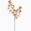Artificial Plant 30*30*110cm  Eucalyptus single stem GS-27925020 2025SEP YeahFlower is one of Chinese leading OEM manufacturers and exporters , supplying the silk flowers, wholesale artificial trees