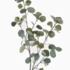 Artificial Plant 38*38*110cm Eucalyptus single stem GS-27925026 2025Nov YeahFlower is one of Chinese leading OEM manufacturers and exporters , supplying the silk flowers, wholesale artificial trees