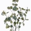 Artificial Plant 50*50*123cm Eucalyptus single stem GS-27925027 2025Nov YeahFlower is one of Chinese leading OEM manufacturers and exporters , supplying the silk flowers, wholesale artificial trees