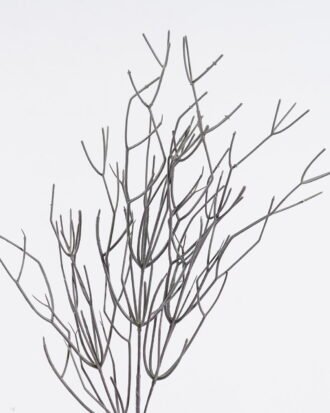 Artificial Plant 17*17*90cm Grass single stem GS-02225029-K1 2025SEP YeahFlower is one of Chinese leading OEM manufacturers and exporters , supplying the silk flowers, wholesale artificial trees