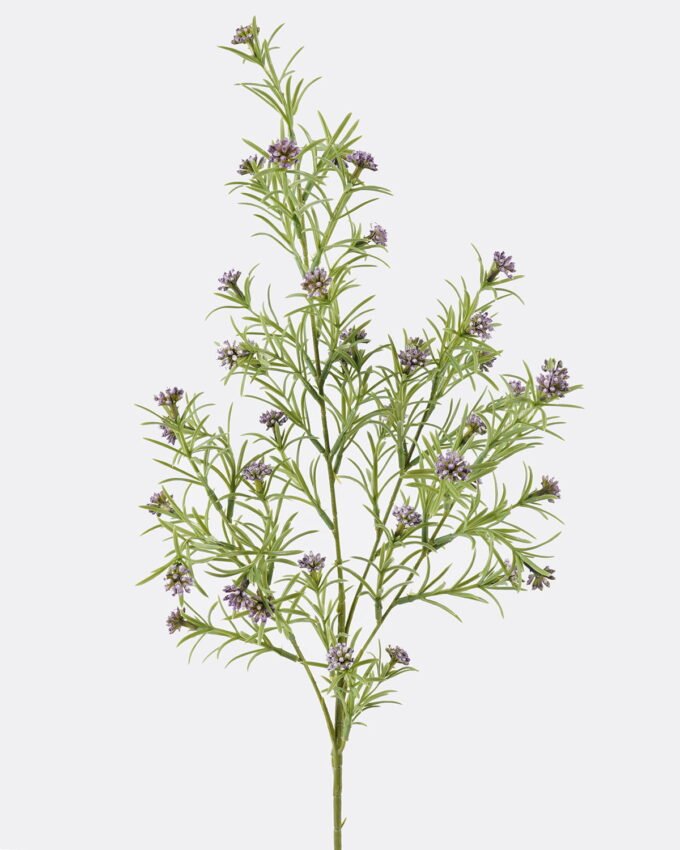 Artificial Plant 18*18*80cm Houttuynia cordata single stem fruit GS-05625004-Z1 2025SEP YeahFlower is one of Chinese leading OEM manufacturers and exporters , supplying the silk flowers, wholesale artificial trees