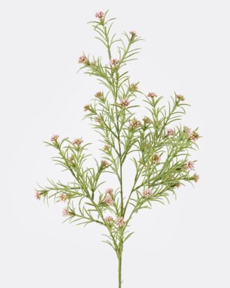 Artificial Plant 18*18*80cm Houttuynia cordata single stem fruit GS-05625004 2025SEP YeahFlower is one of Chinese leading OEM manufacturers and exporters , supplying the silk flowers, wholesale artificial trees Artificial Plant 18*18*80cm Houttuynia cordata single stem fruit GS-05625004 2025SEP YeahFlower is one of Chinese leading OEM manufacturers and exporters , supplying the silk flowers, wholesale artificial trees