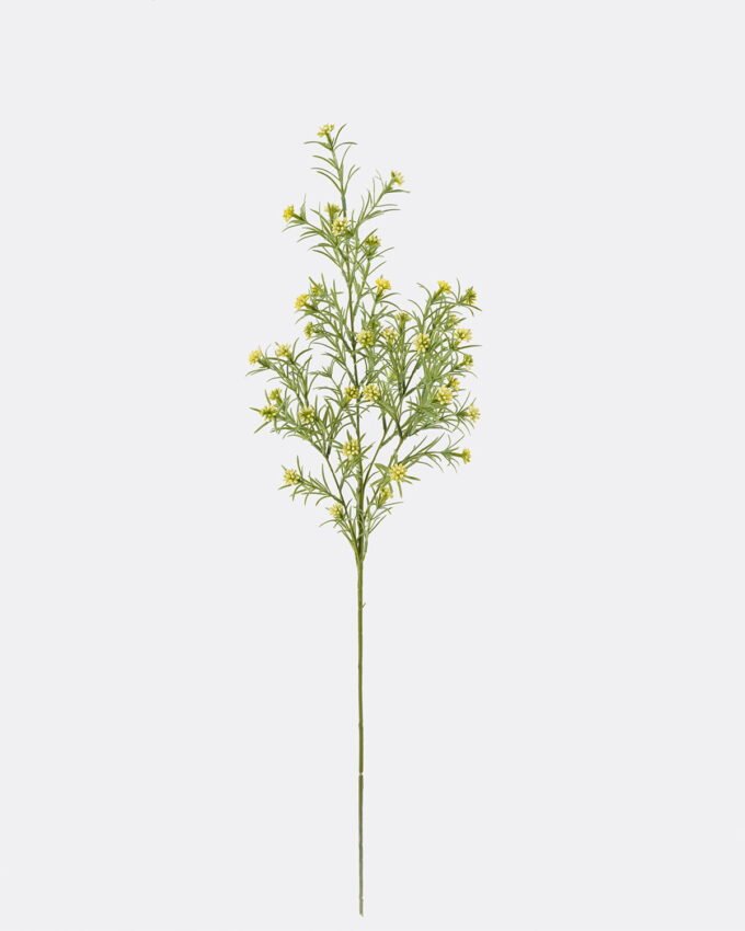 Artificial Plant 18*18*80cm Houttuynia cordata single stem fruit GS-05625004 2025SEP YeahFlower is one of Chinese leading OEM manufacturers and exporters , supplying the silk flowers, wholesale artificial trees