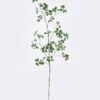 Artificial Plant Leaf 33 single stem GS-80825003_6 Artificial Plant 30*30*115cm Leaf *33 single stem GS-80825003 2026Feb YeahFlower is one of Chinese leading OEM manufacturers and exporters , supplying the silk flowers, wholesale artificial trees