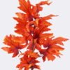 Artificial Plant 28*28*85cm Maple leaf single stem GS-27925043-O1 2025Nov YeahFlower is one of Chinese leading OEM manufacturers and exporters , supplying the silk flowers, wholesale artificial trees