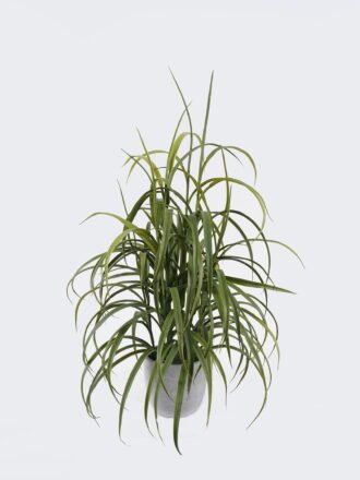 Artificial succulent 15*15*40cm Desert Plant in Cement pot GS-02225037 2025SEP 3,000+ sqm showroom with thousands of artificial flowers, plants & trees ready for global sourcing.