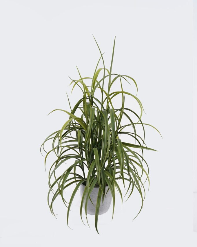 Artificial Plant 35*35*48 cm Desert Plant in Cement pot GS-02225038 2025SEP YeahFlower is one of Chinese leading OEM manufacturers and exporters , supplying the silk flowers, wholesale artificial trees