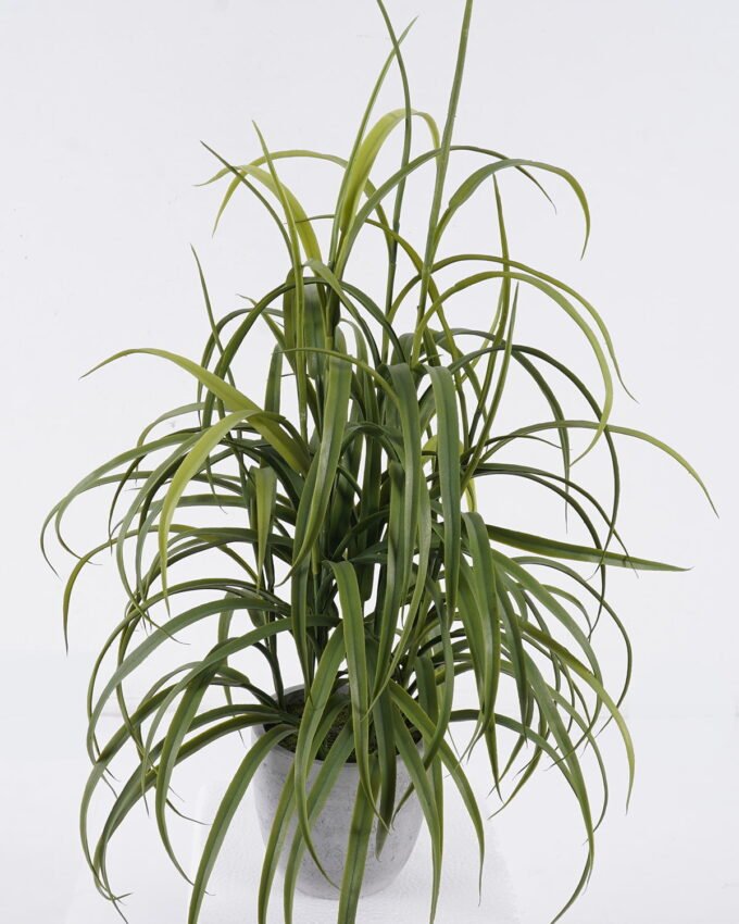Artificial Plant 35*35*48 cm Desert Plant in Cement pot GS-02225038 2025SEP YeahFlower is one of Chinese leading OEM manufacturers and exporters , supplying the silk flowers, wholesale artificial trees