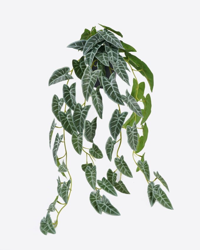 Artificial Table Plants 30*26*79cm Alocasia in PP pot GS-03325121 2025SEP YeahFlower is one of Chinese leading OEM manufacturers and exporters , supplying the silk flowers, wholesale artificial trees