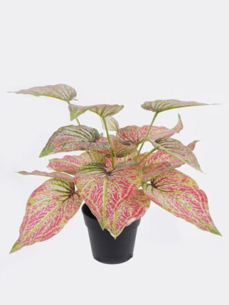 Artificial Table Plants 30*25*23cm Ficus in PP pot GS-03325126 2025SEP 3,000+ sqm showroom with thousands of artificial flowers, plants & trees ready for global sourcing.