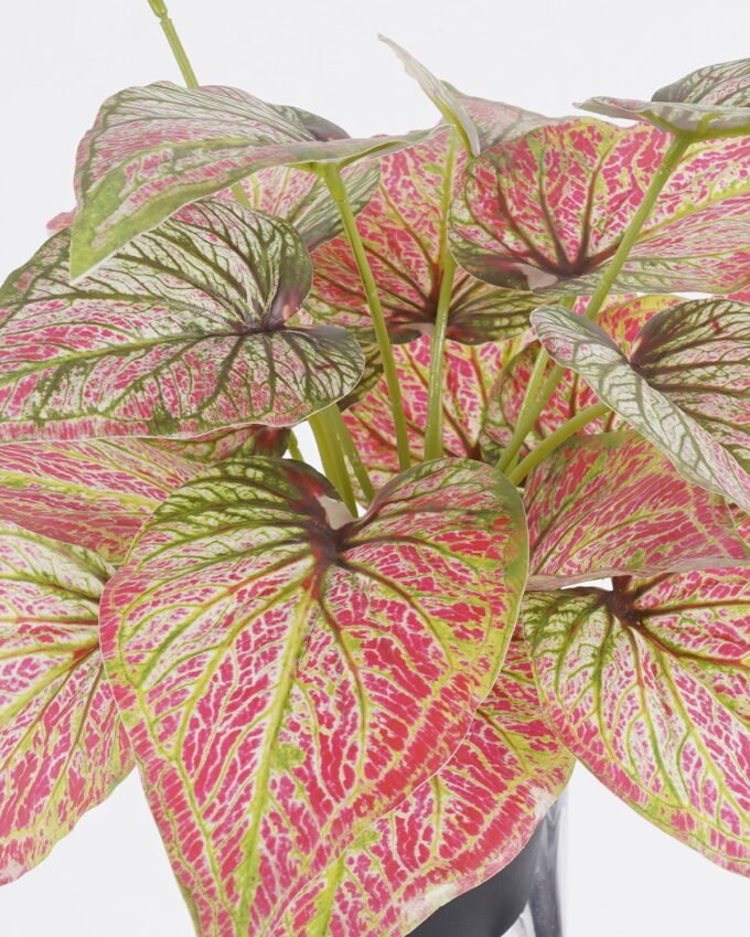 Artificial Table Plants 35*35*32cm Alocasia in PP pot GS-03325127 2025SEP YeahFlower is one of Chinese leading OEM manufacturers and exporters , supplying the silk flowers, wholesale artificial trees