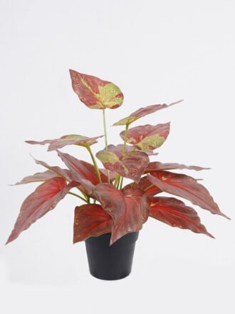 Artificial Table Plants 35*35*32cm Alocasia in PP pot GS-03325127 2025SEP 3,000+ sqm showroom with thousands of artificial flowers, plants & trees ready for global sourcing.