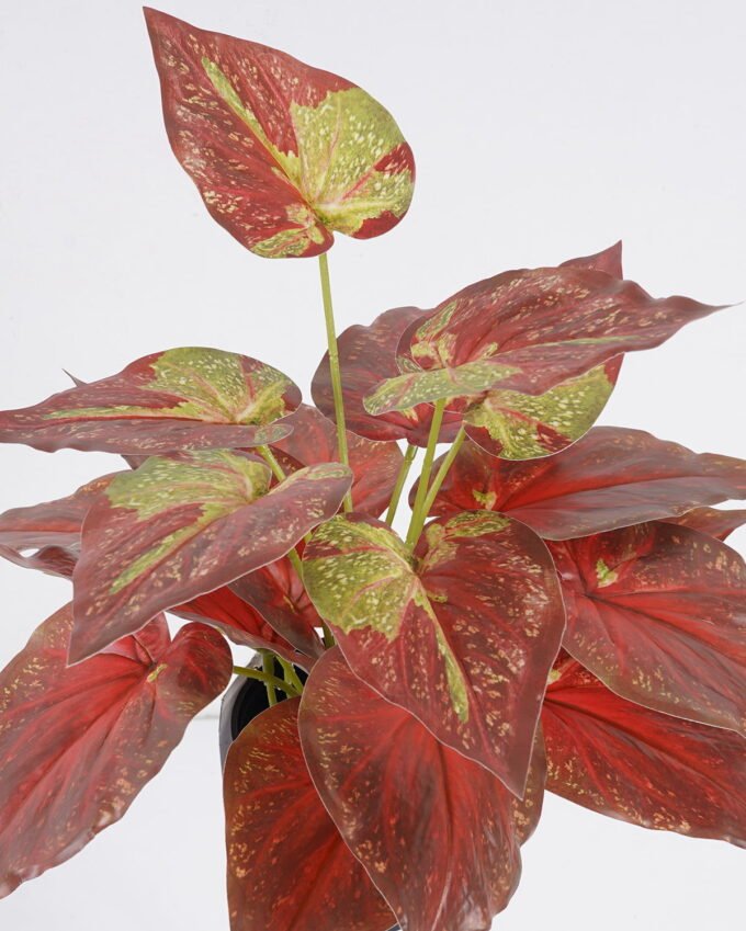 Artificial Table Plants 35*35*32cm Alocasia in PP pot GS-03325128 2025SEP YeahFlower is one of Chinese leading OEM manufacturers and exporters , supplying the silk flowers, wholesale artificial trees