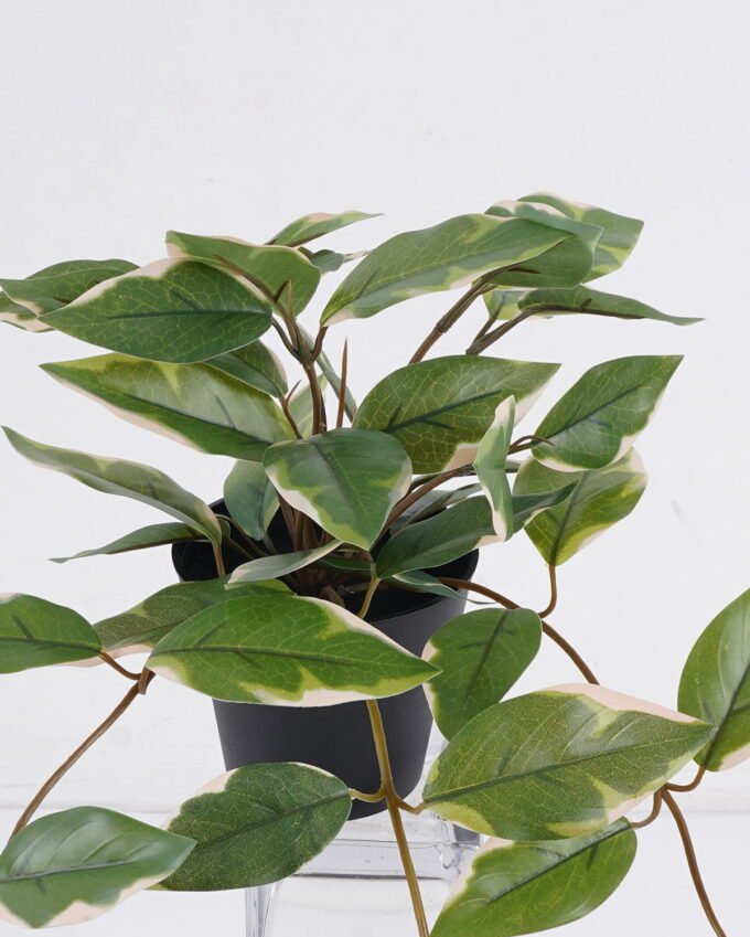 Artificial Table Plants 30*25*40cm Ficus in PP pot GS-03325125 2025SEP YeahFlower is one of Chinese leading OEM manufacturers and exporters , supplying the silk flowers, wholesale artificial trees