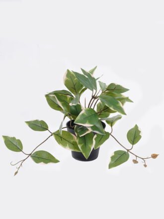 Artificial Table Plants 30*25*40cm Ficus in PP pot GS-03325125 2025SEP 3,000+ sqm showroom with thousands of artificial flowers, plants & trees ready for global sourcing.