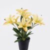 Artificial Table Plants 25*25*32cm Lily in PP pot GS-03325003-Y1 2025SEP YeahFlower is one of Chinese leading OEM manufacturers and exporters , supplying the silk flowers, wholesale artificial trees