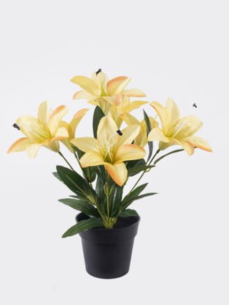 Artificial Plant 35*35*48 cm Desert Plant in Cement pot GS-02225038 2025SEP 3,000+ sqm showroom with thousands of artificial flowers, plants & trees ready for global sourcing.