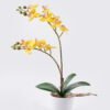 Artificial Table Plants 30*11*40cm Orchid in PP pot GS-03325040-Y1 2025SEP YeahFlower is one of Chinese leading OEM manufacturers and exporters , supplying the silk flowers, wholesale artificial trees