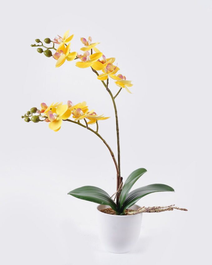 Artificial Table Plants 30*11*40cm Orchid in PP pot GS-03325040-Y1 2025SEP YeahFlower is one of Chinese leading OEM manufacturers and exporters , supplying the silk flowers, wholesale artificial trees
