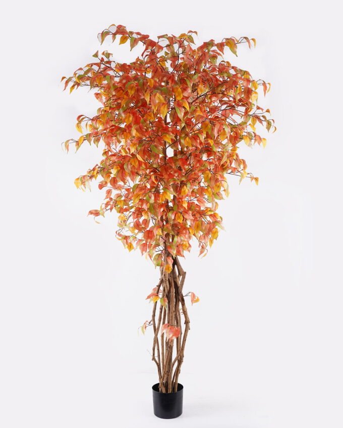 Artificial Tree Banyan in PP pot 1512 lvs Real tree trunk GS-30625011_1 Artificial Tree 85*85*180cm Banyan in PP pot/1512 lvs/Real tree trunk GS-30625011 2025Nov YeahFlower is one of Chinese leading OEM manufacturers and exporters , supplying the silk flowers, wholesale artificial trees